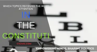 Key Topics in the Constitution: What Got the Spotlight?