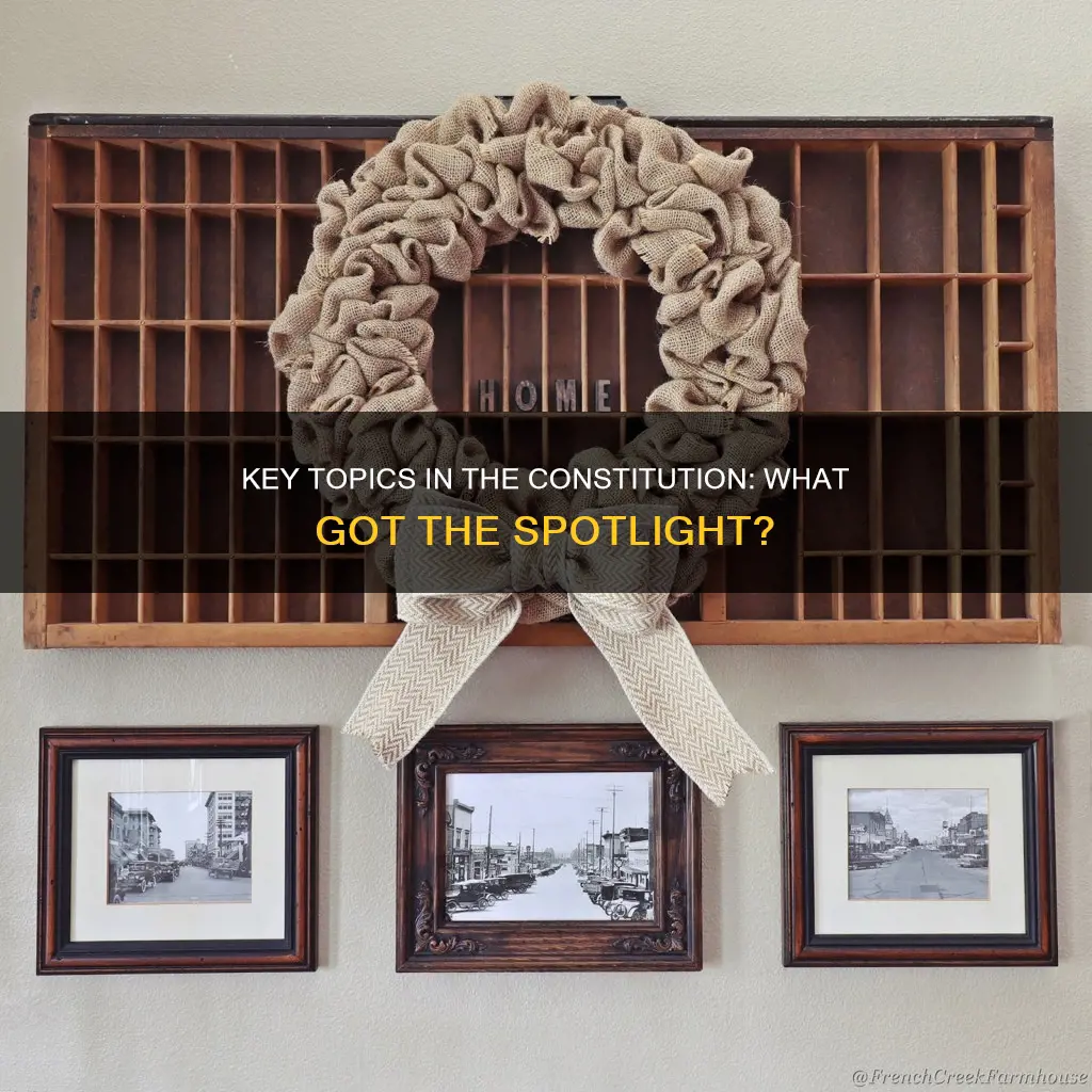 which topics received the most attention in the constitution