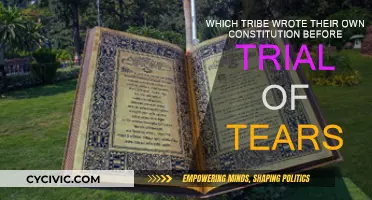 Cherokee Constitution: A Tribe's Legacy Before the Trail of Tears