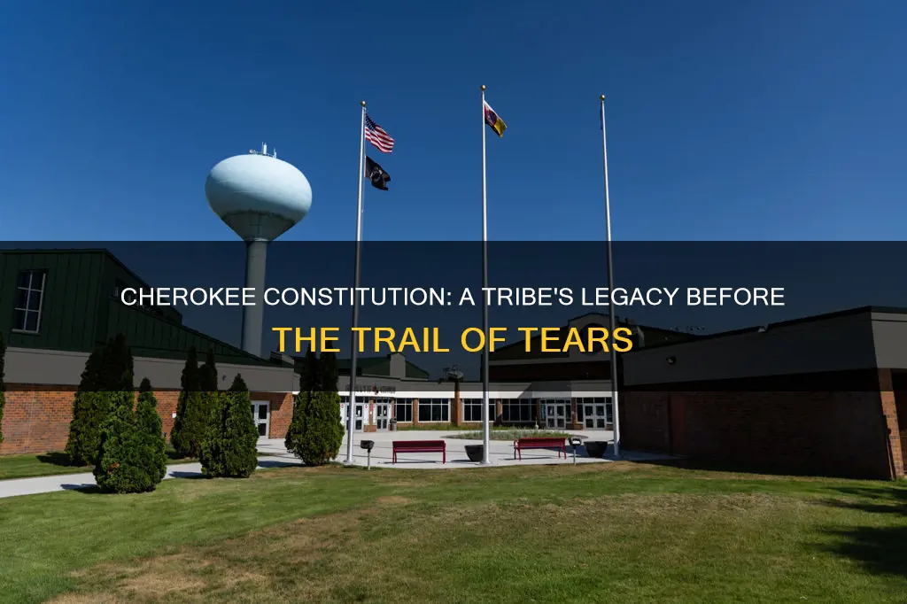which tribe wrote their own constitution before trial of tears