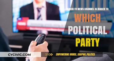 Unveiling Political Bias: Analyzing TV News Channels' Party Allegiances