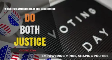 Justice Amendments: The Constitution's Balancing Act