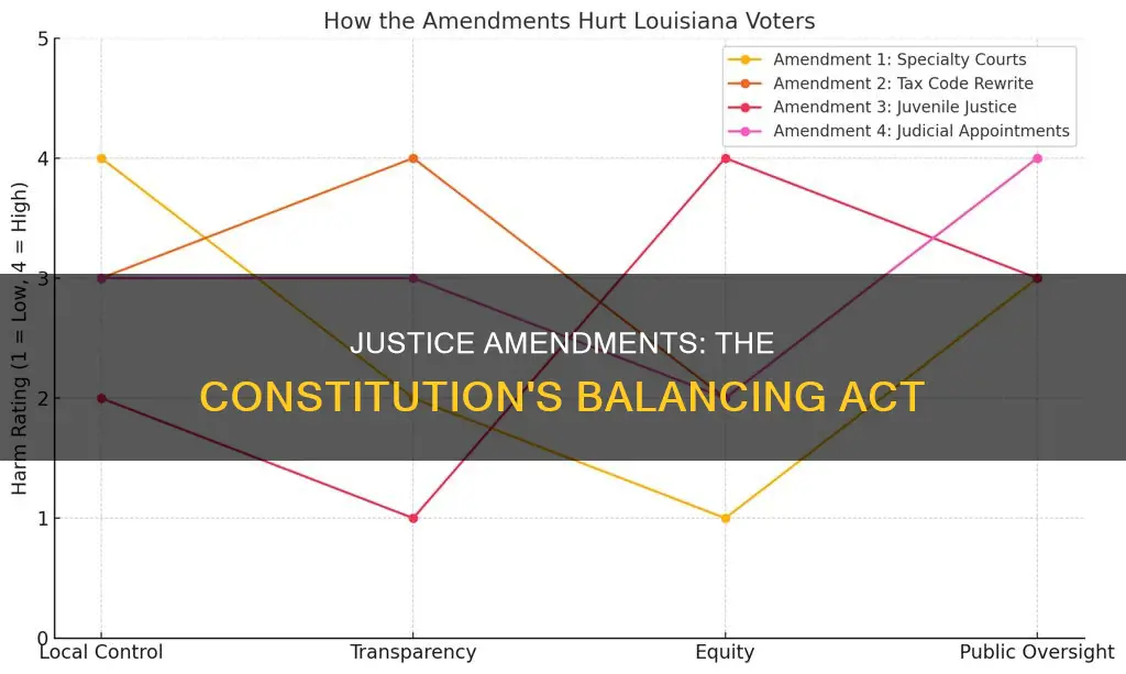 which two amendments in the constitution do both justice