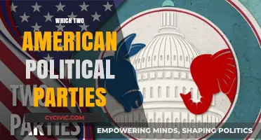 Exploring the Dominant Two American Political Parties: Their History and Impact