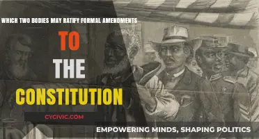 Who Ratifies Formal Amendments to the Constitution?