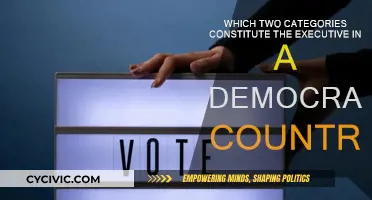 Executive Power: Elected and Appointed