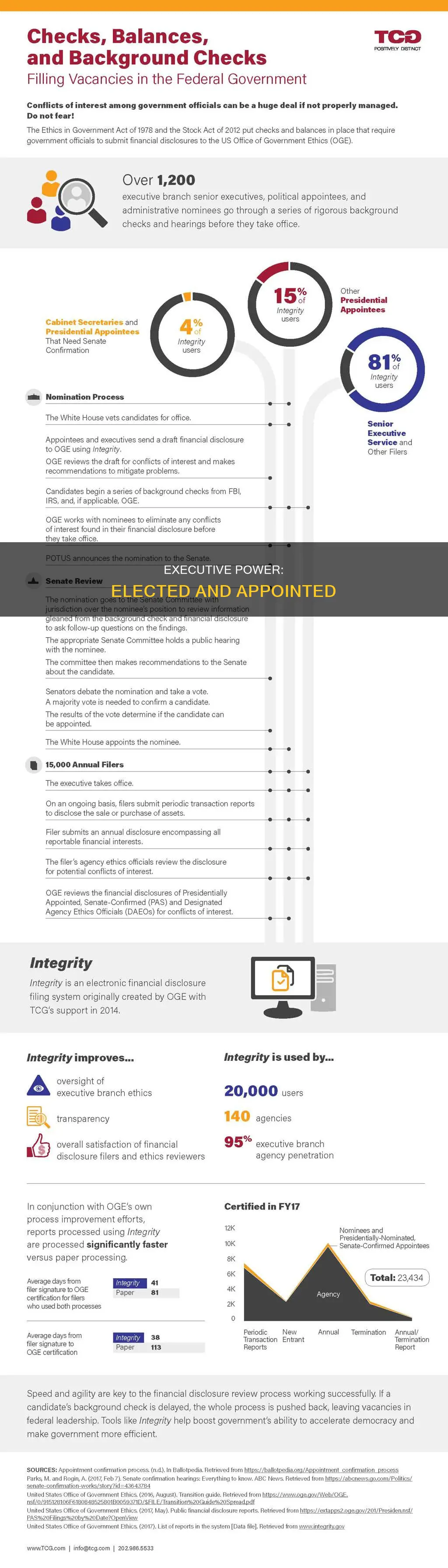 which two categories constitute the executive in a democratic country