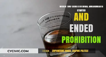 Amendments for Prohibition: A Historical Overview