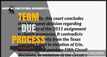 Due Process: Constitutional Amendments Explained