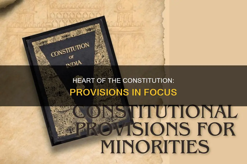which two constitutional provisions have been at the heart
