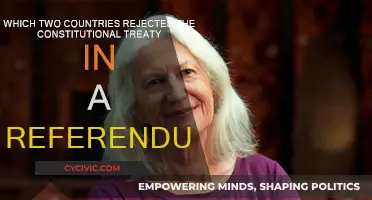 Which Countries Rejected the Constitutional Treaty Referendum?
