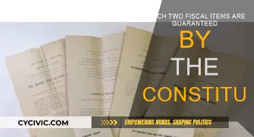 The Constitution's Fiscal Guarantees: Two Key Financial Provisions