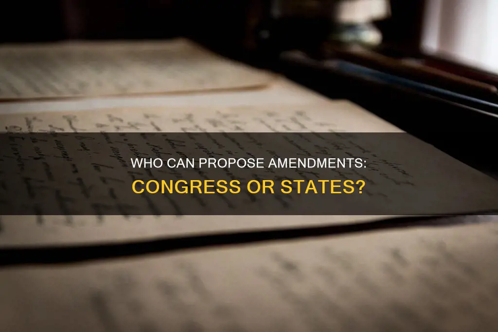 which two groups can propose an amendment to the constitution