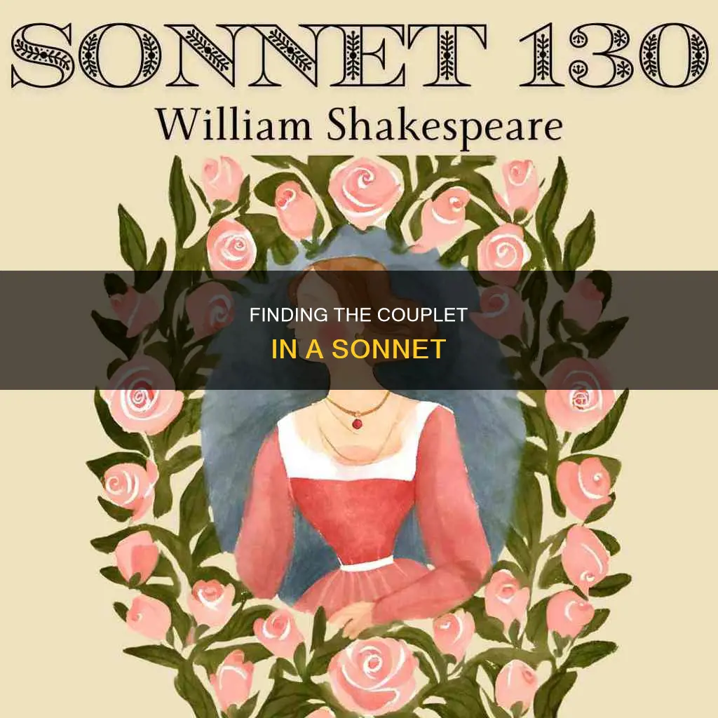 which two lines taken from a sonnet constitute a couplet