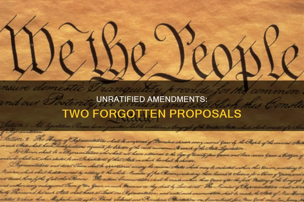 which two original proposed amendments did not get ratified