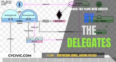 The Delegates' Plans: Two Distinct Paths for the Nation's Future