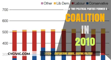 2010 UK Coalition: Conservative and Liberal Democrat Alliance Explained
