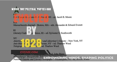 The Rise of Democrats and Whigs: 1828's Political Evolution