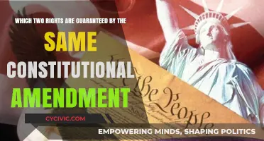 Constitutional Amendments: Two Rights, One Amendment