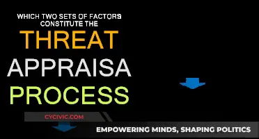 Threat Appraisal: Factors of Danger Perception