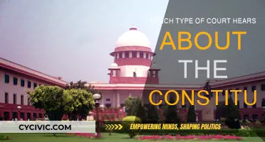 Understanding the Courts: Constitutional Law