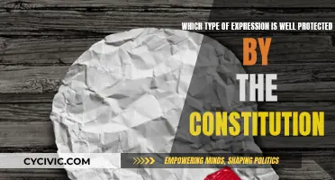 Constitutional Safeguards for Expression: What's Protected?