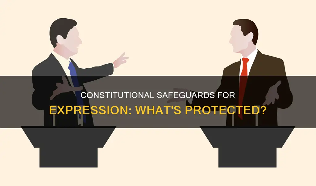 which type of expression is well protected by the constitution
