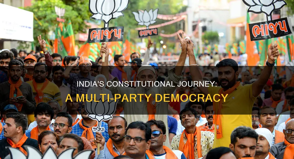 which type of party system evolved in indian constitution