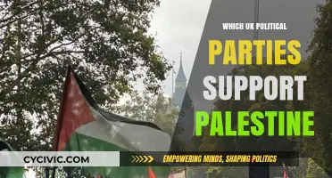 UK Political Parties and Their Stance on Palestine: A Comprehensive Guide