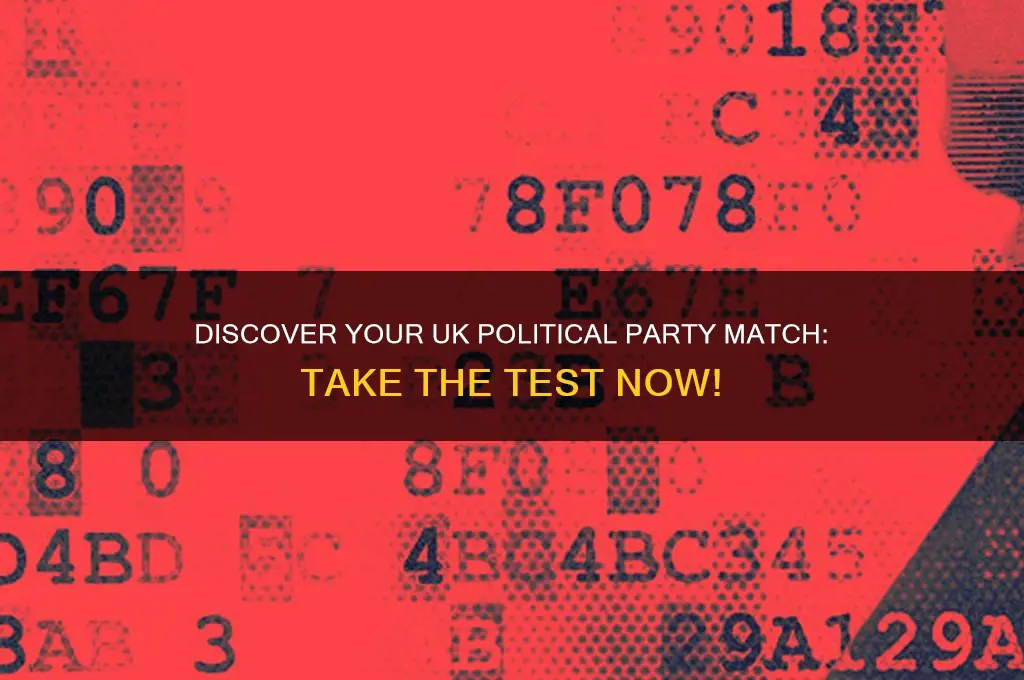 which uk political party am i test