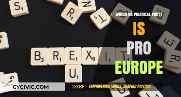 Which UK Political Parties Support Pro-European Policies and Integration?