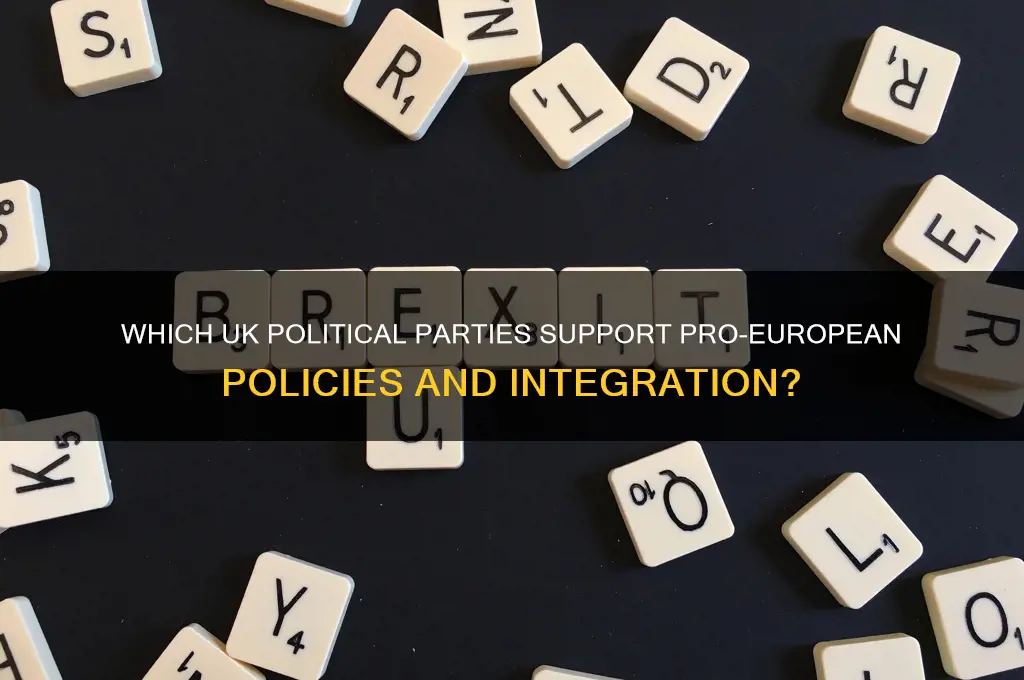 which uk political party is pro europe