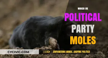 Unveiling UK Political Party Moles: Allegations, Impacts, and Public Trust