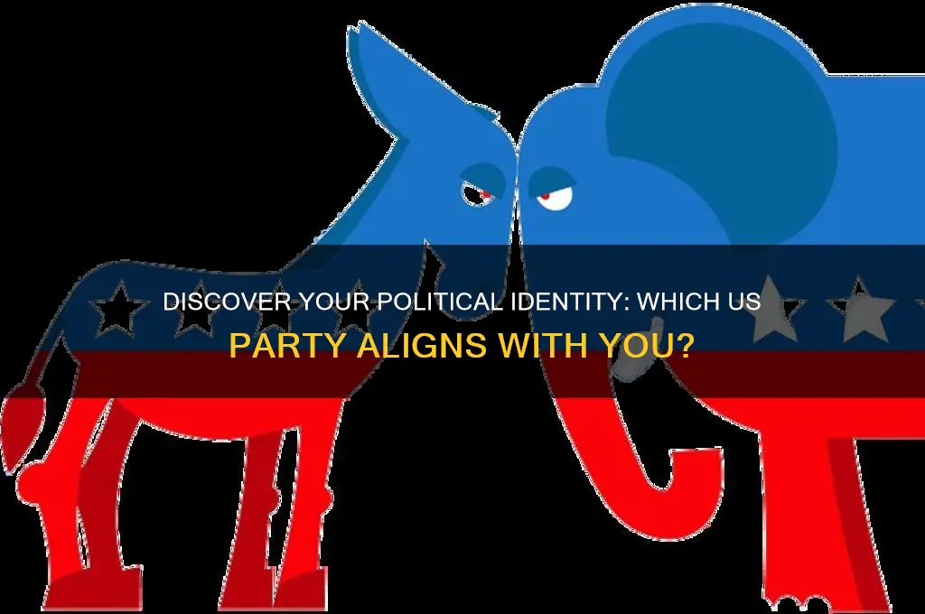 which us political party am i