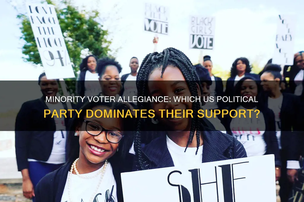 which us political party has more minority voters