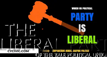 Understanding Liberalism: Which US Political Party Aligns with Liberal Ideals?