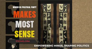 Which US Political Party Aligns Best with Logical Governance?