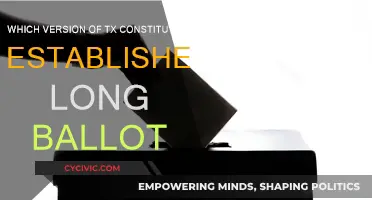 The Long Ballot: Texas Constitution Evolution