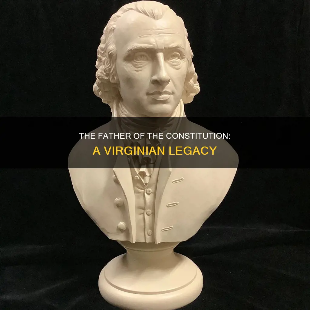 which virginian is the father of the constitution