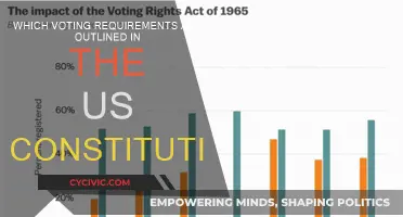 Exploring US Constitution's Voting Requirements