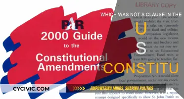 The US Constitution: What Wasn't Included?