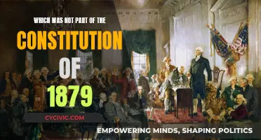 The Missing Piece: 1879 Constitution's Omission