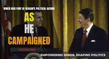 Reagan's Political Agenda: Campaign Promises and Policies