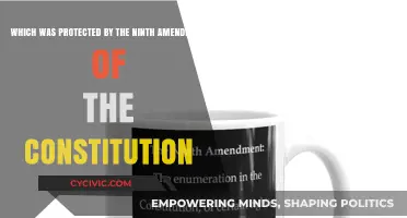 The Ninth Amendment: Protecting Our Unalienable Rights