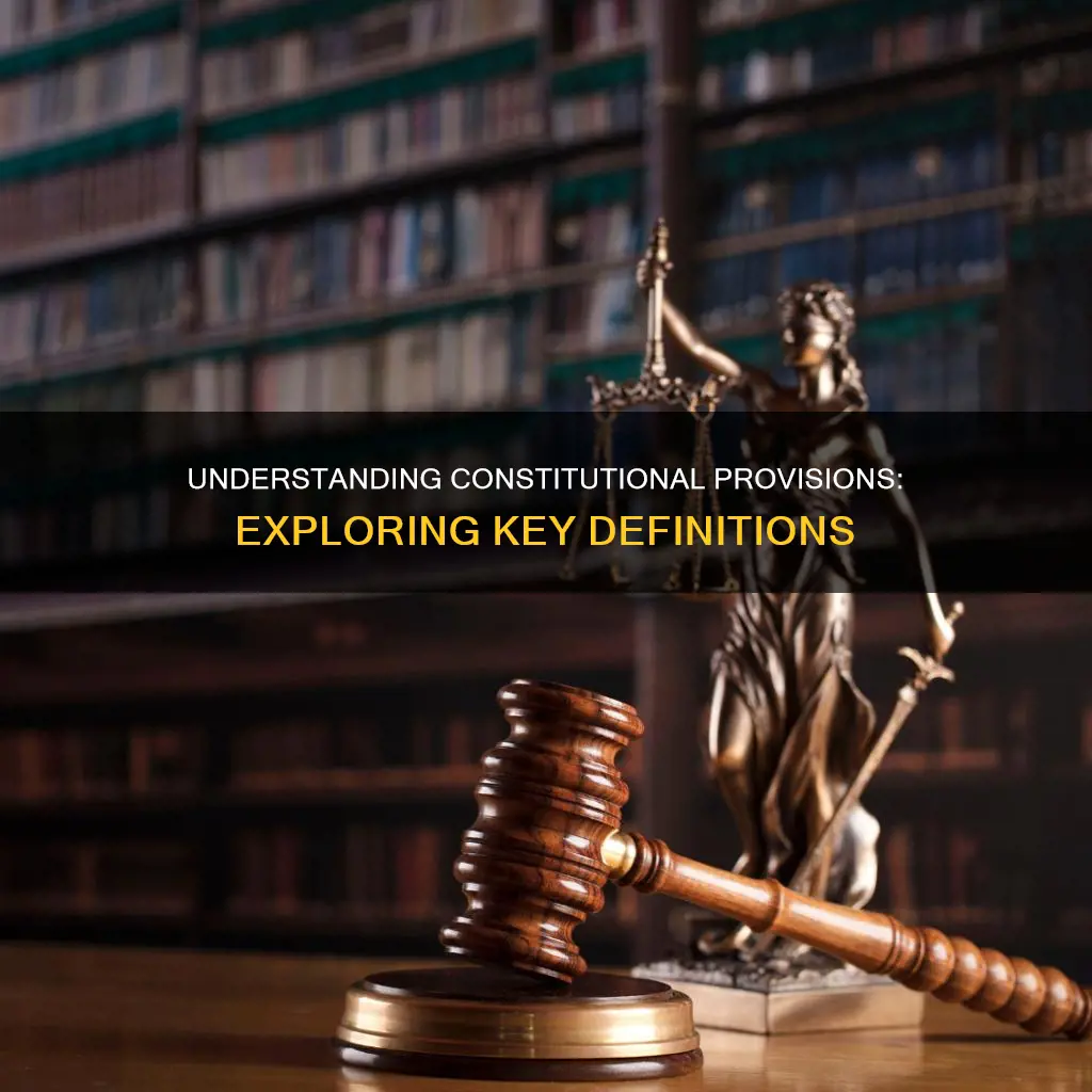 which word best defines the word constitutional provisons