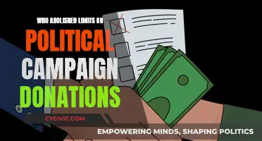 Supreme Court: Lifting Limits on Campaign Donations