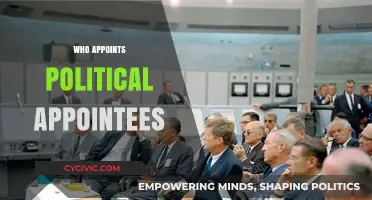 Who Appoints Political Appointees: Understanding the Selection Process