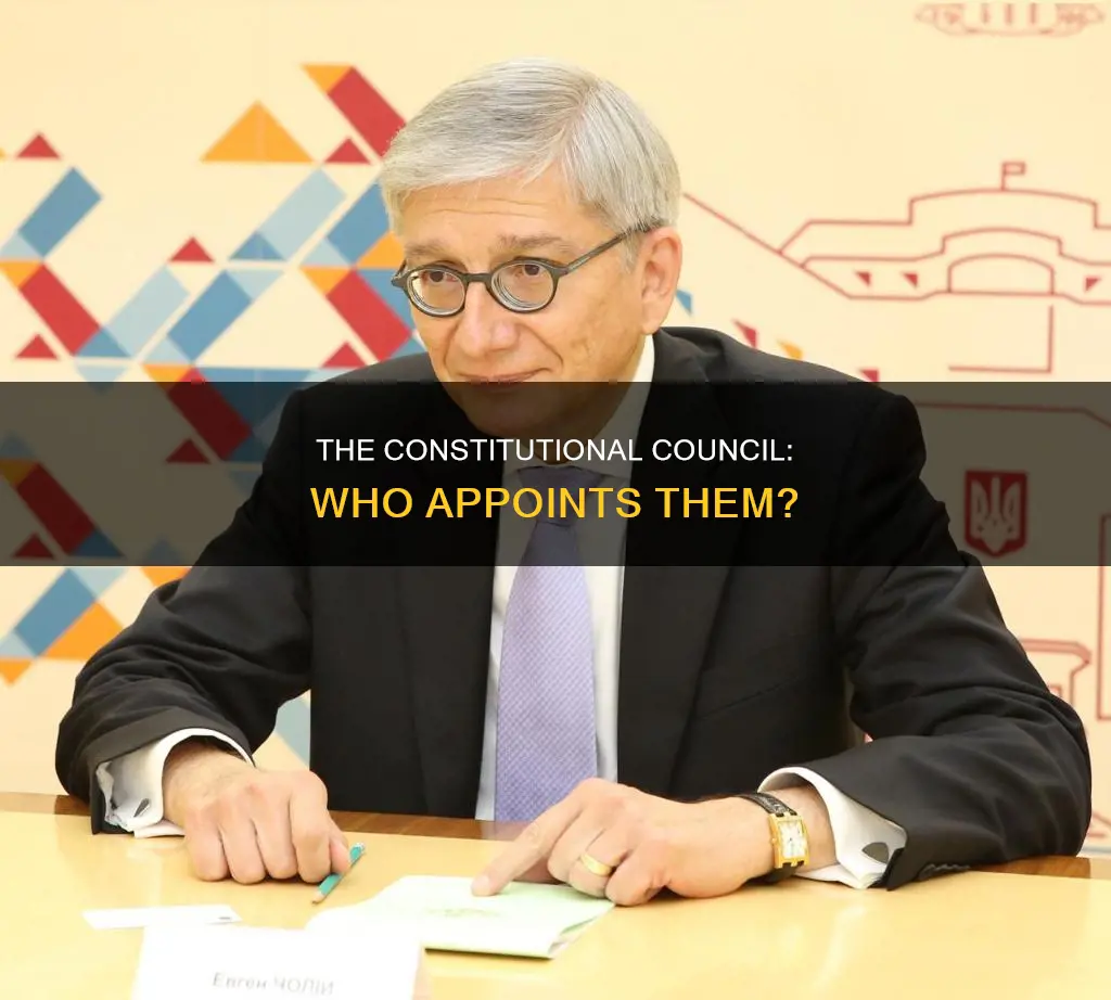 who appoints the people on the constitutional council