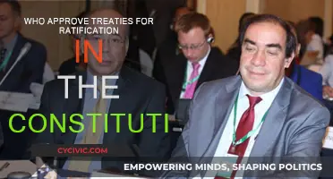 The Treaty-Making Process: Who Approves and Ratifies?