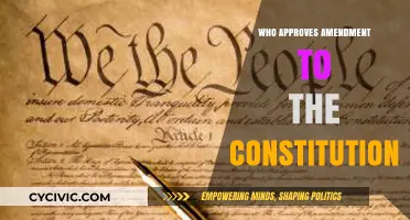 Amending the Constitution: Who Has the Power?